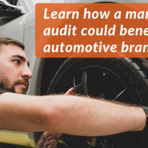 63618533c01b911e2055514c_Auto-Audit-Blog-TN