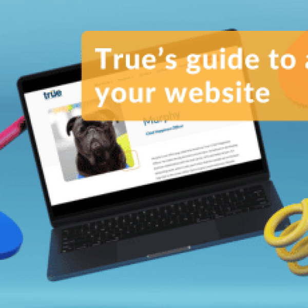 66ad3b0812fe4164e16bee48_August-2024-Digital-Audit-Blog