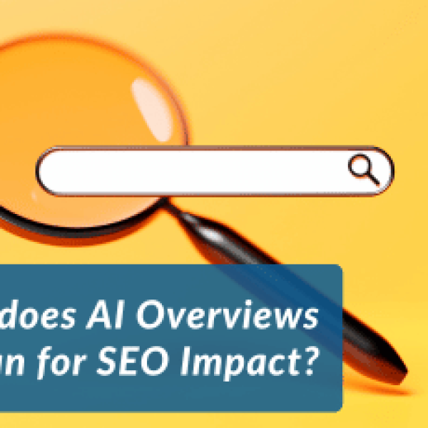 66bbb5596f3479812f8c05f4_AI-Overview-Opinion